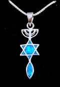 925 Sterling silver Messianic Seal Grafted In Root necklace with opal from Israel 1"