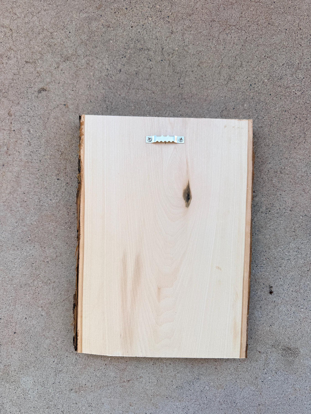 Chakra Tree Root yoga sign engraved on live edge basswood size 11” x 8”