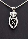 Grafted In Messianic Seal Pendant Star Of David Menorah And Fish 18” Necklace